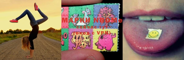 тгк Армянск