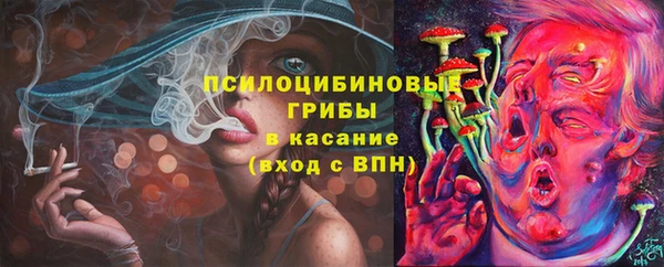 тгк Армянск
