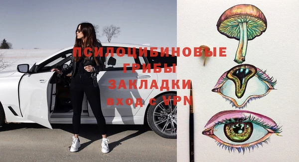 бошки Аркадак
