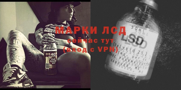 тгк Армянск